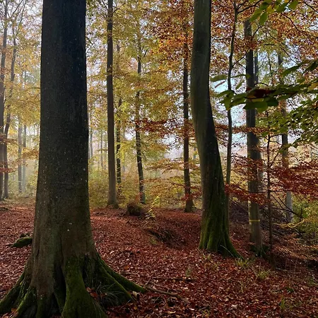 شقة 4summer Gold Perlowa Przystan Parking, 650m Do Plazy, 650m Zum *