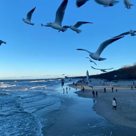 4summer Gold Perlowa Przystan Parking, 650m Do Plazy, 650m Zum *